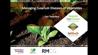 Fusarium wilt management in vegetables with Dr Len Tesoriero [upl. by Hite]