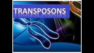 Transposons  Microbial Genetics  2024 [upl. by Lovell]