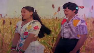 Kondaveeti Raja Movie Songs  Naa Koka Bagunda  Chiranjeevi Radha VijayaShanthi [upl. by Druci175]