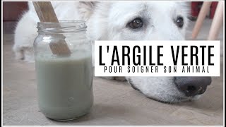 SOIGNER SON ANIMAL AU NATUREL  LArgile Verte [upl. by Oates]