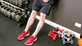 Bodyweight Tibialis Raise  Fix Shin Splits [upl. by Annazor]