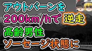 【ドイツ】あまりに身勝手な理由でアウトバーンを逆走する高齢男性！危険運転をした結果、あまりに悲惨な状態に…【ゆっくり解説】 [upl. by Dwinnell]