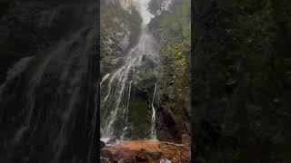 Der Vlog zum Wasserfall ist jetzt hier auf YouTube Online 🌺 📍Burgbachwasserfall Schwarzwald [upl. by Lletnuahs968]