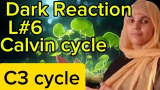 Plant PhysiologyL6PhotosynthesisDark ReactionC3 CycleCalvin CycleAll Board Exam NEET MDCAT [upl. by Relyt109]