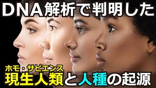 ヨーロッパ人と東アジア人は同一集団の子孫～2022年の研究で明らかになったアフリカ人、東西ユーラシア人の分岐と人種の成立過程／日本人の起源アフリカ単一起源説～ [upl. by Lahcar]