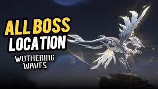 All Boss Location  All Boss Fight Overlord amp Calamity Echo  Wuthering Waves [upl. by Wenz62]