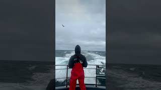 Charter fishing out of Westport Washington fishing charterfishing westport boat sea [upl. by Yerrot]