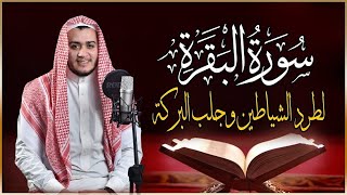 سورة البقرة كاملة رقية للبيت وعلاج للسحر تلاوة تريح القلب وتشرح الصدر  علاء عقل Sourate AlBaqara [upl. by Solegna]