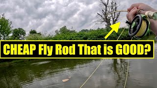 The Best Fly Rod For Beginners— Fly Fishing Eastern Kentucky [upl. by Halyak]