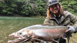 Multiple 20 Lb STEELHEAD Landed River Fishing  Addicted Life Ep 25 [upl. by Glovsky]