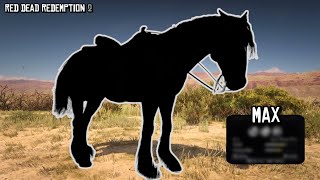 The Rare West Horse with only one chance to get it as Arthur  Red Dead Redemption 2 [upl. by Ecyrb]