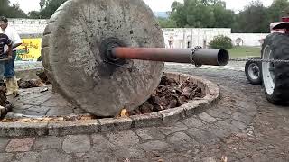 LA MOLIENDA DEL MEZCAL Proceso de trituración de plantas de agave mezcalero previamente cocido [upl. by Enitsuj]