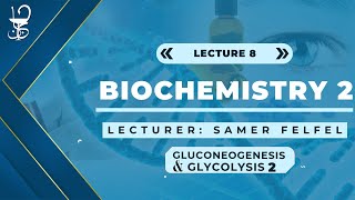 Biochemistry 2 Glycolysis part 2 amp Gluconeogenesis [upl. by Sachi642]