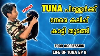 നീയിങ്ങു വാ എന്റെ പൊന്നെ  Terry kallu and Kathu funny moments 😜😜  Laze media [upl. by Ocir]