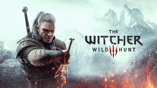 The Witcher 3 Wild Hunt ep 12 [upl. by Yltnerb283]