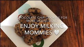 EASY CHOCOLATE CHIP LACTATION COOKIES RECIPE 🤍 [upl. by Sargent]