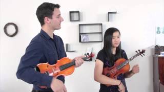 Intermediate Advanced Level Violin lesson [upl. by Aneres]