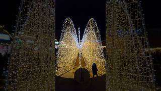 Christmas celebration in Germany very beautiful video youtubeshorts christmas shorts lights [upl. by Groscr]