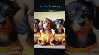 Dexter Hoster y Holmer [upl. by Campagna]