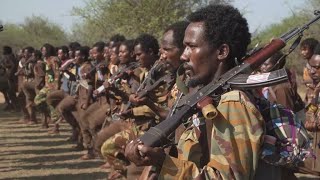 Guerre en Éthiopie  lArmée de libération oromo progresse vers AddisAbeba • FRANCE 24 [upl. by Adolphus]