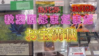 【日本一のオタロード】秋葉原でお宝発見！アルス鑑定はとんでもない結果に！ [upl. by Eillit]