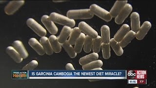 Is Garcinia Cambogia the newest diet miracle [upl. by Lief]