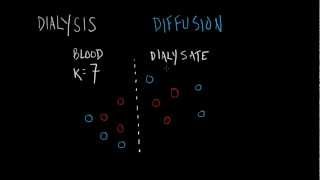 Dialysis Basics [upl. by Meredithe137]