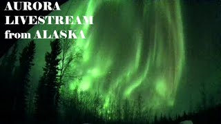 LIVE Alaska Aurora Live Stream April 45 2024 [upl. by Aratahc213]