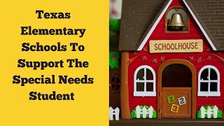 Texas Elementary Schools To Support The Special Needs Student  A Panel Webinar [upl. by Kerrin]