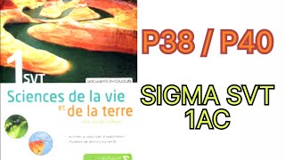 SIGMA SVT 1AC Comparaison du tube digestif chez un phytophage et un zoophage P38 et p40 [upl. by Pattani714]