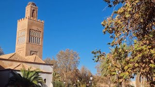 تلمسان  وسط المدينة  الجزائر  2024  Tlemcen  City Center  Algeria [upl. by Beale]