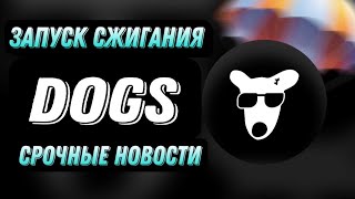 DOGS СРОЧНЫЕ НОВОСТИ  ЗАПУСК СЖИГАНИЯ ТОКЕНОВ [upl. by Mosra]