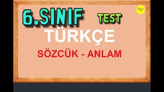 6 sınıf Türkçe test çöz sözcük anlam [upl. by Oremodlab]