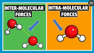 Intermolecular Forces and Intramolecular Forces  Chemistry [upl. by Job]