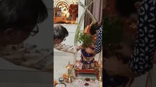 Tulasi vivaha Puja My Friend house tulasi puja svery good Puja swatch short videoviral [upl. by Aehcsrop195]