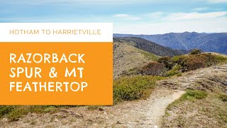 The Razorback Spur  Mt Hotham to Mt Feathertop [upl. by Amandy]