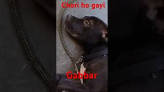 Are bhai chori ho gayi [upl. by Elockin]