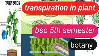 transpiration and its type bsc 5th semesterbotanytranspirationtype of transpiration [upl. by Berg]