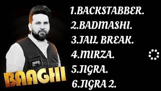 BAAGHI SONG  TOP6 Audio Song [upl. by Galen]