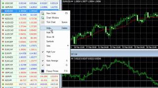 GO Markets MT4 Tutorial  Market Watch [upl. by Rayle179]