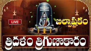 LIVE  సోమవారం రోజు బిల్వాష్టకం వింటే కోటీశ్వరులవుతారు  Bilvashtakam  Lord Shiva Bhakthi Songs [upl. by Siriso358]