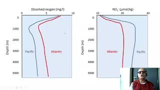 13 Glacial Interglacial Cycles and Biogechemical Responses [upl. by Hillell]