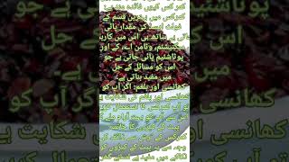 Health benefits of kamarkas  kamarkas benefits in urdu hindi  Amazing health benefits of kamarkas [upl. by Flower837]