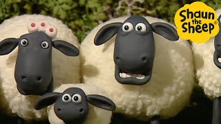 Shaun the Sheep 🐑 SHOCKED SHEEP  Cartoons for Kids 🐑 Full Episodes Compilation 1 hour [upl. by Peper]