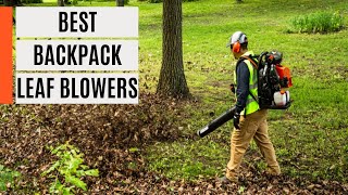 TOP 5 Best Backpack Leaf Blowers 2023 [upl. by Catharine]