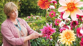 Sarah Raven  How to grow dahlias  Good Housekeeping UK [upl. by Rawna390]