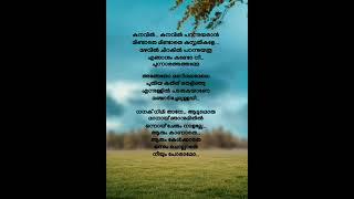 kanavil kanavil  salt mango tree song lyrics shortvideo music malayalam viral trendingshorts [upl. by Dixon20]