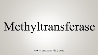 How To Say Methyltransferase [upl. by Llehsyt757]