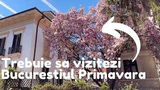 Merita sa vizitezi Bucureștiul Primavara  Centrul Vechi  Centrul orașului  Magnolia  4K video [upl. by Sontag]