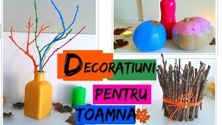 DIY Decoratiuni De Toamna  Idei ieftine si spectaculoase [upl. by Pelage166]